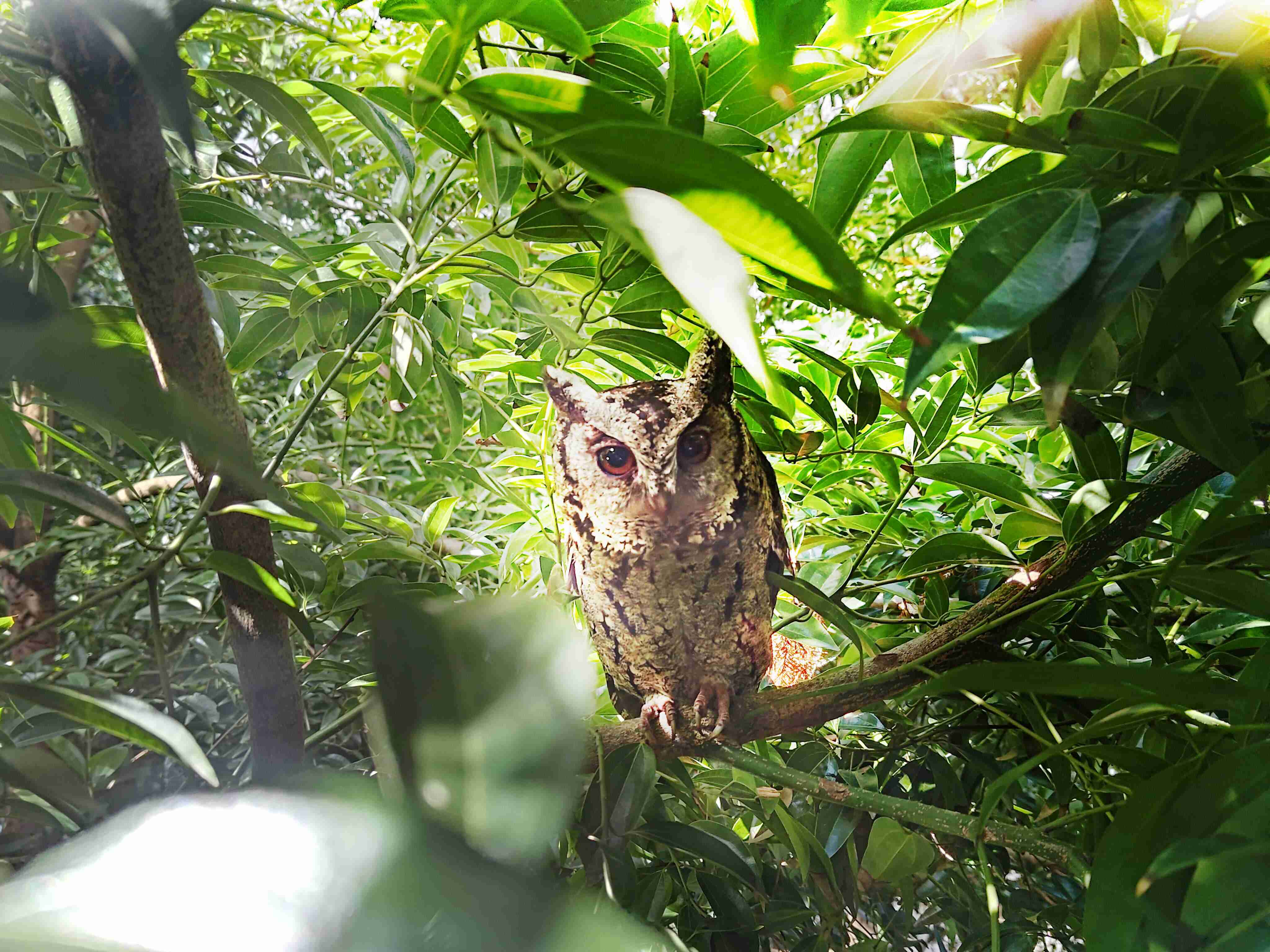 z6mg·人生就是博致力提倡净零绿生活，，，16年以来在全球各厂区植树逾百万棵，，，，造就各厂区树木蔚然成林，，犹如森林工厂，，成为许多生物的栖息地